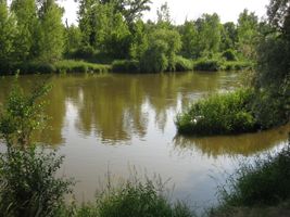 Berounka 1 - Radotín 3..6.11.JPG